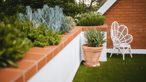 A Guide To Adding Fresh Greenery To Your Home This Winter In India