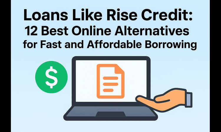 A flat-style digital illustration showing a person using a laptop to compare online loan platforms, symbolizing fast and affordable borrowing alternatives similar to Rise Credit.