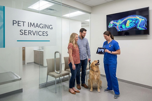 What Are Advanced Pet Imaging Services and When Are They Needed?