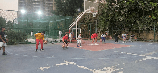 Why Structured Basketball Coaching Is Essential for Athletic Growth and Development